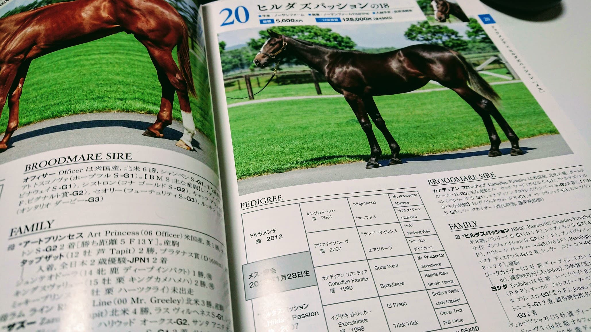 /contents/blog/2019-09-06-join-carrot-club/catalog.jpg